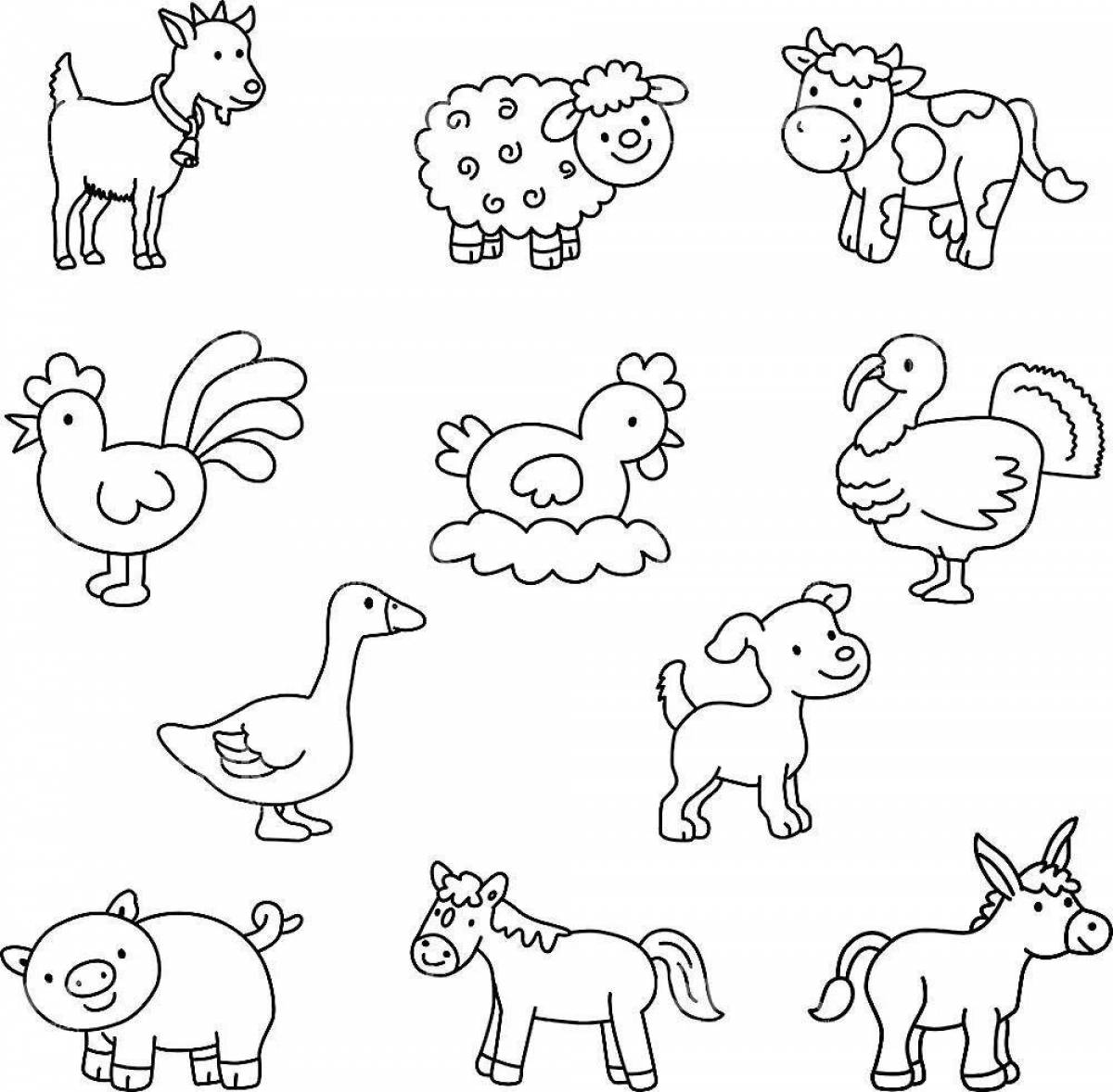 Cute pet coloring page