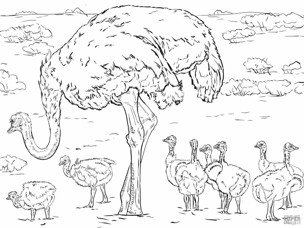 Красочная страница раскраски страуса для детей