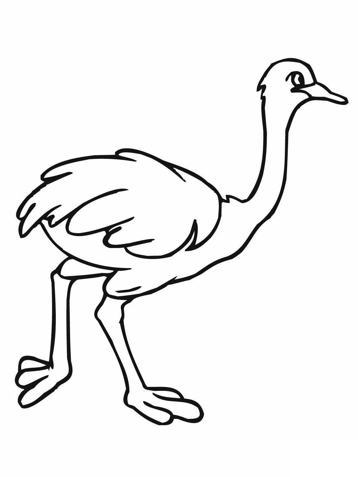 Joyful ostrich coloring for kids