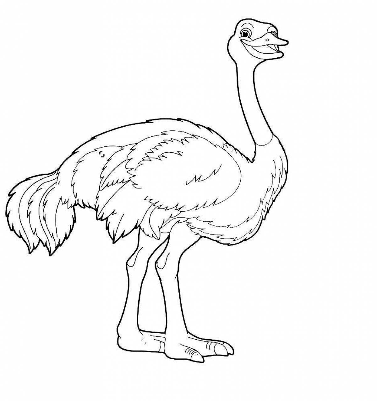 Fun ostrich coloring book for kids