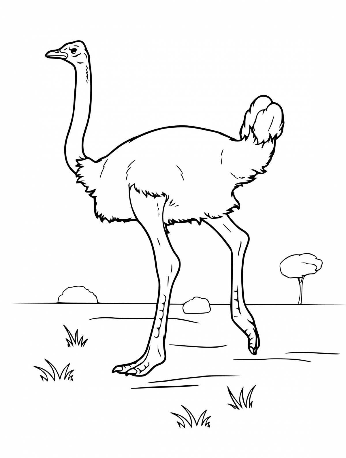Cute ostrich coloring pages for kids
