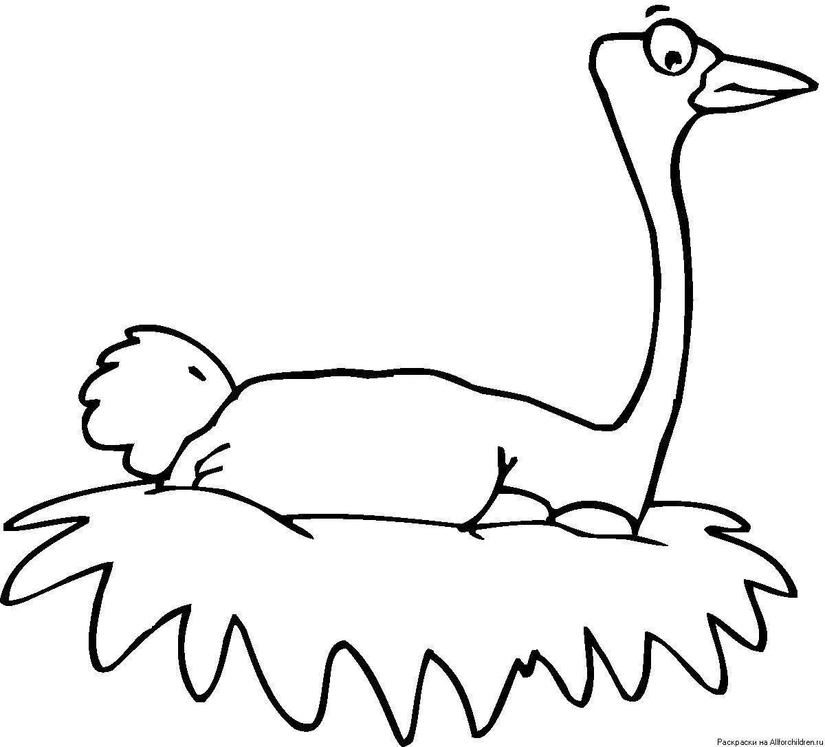Cute ostrich coloring for kids