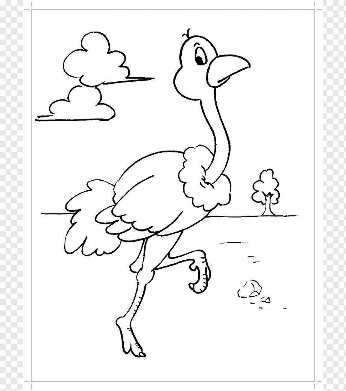 Невероятная раскраска страуса для детей