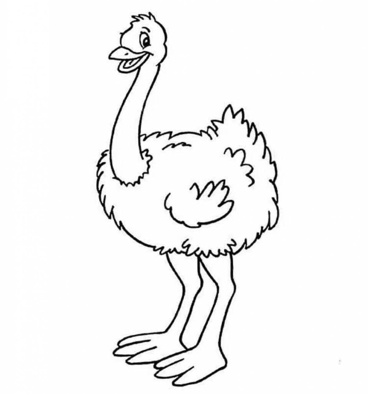Чудесный страус раскраски для детей