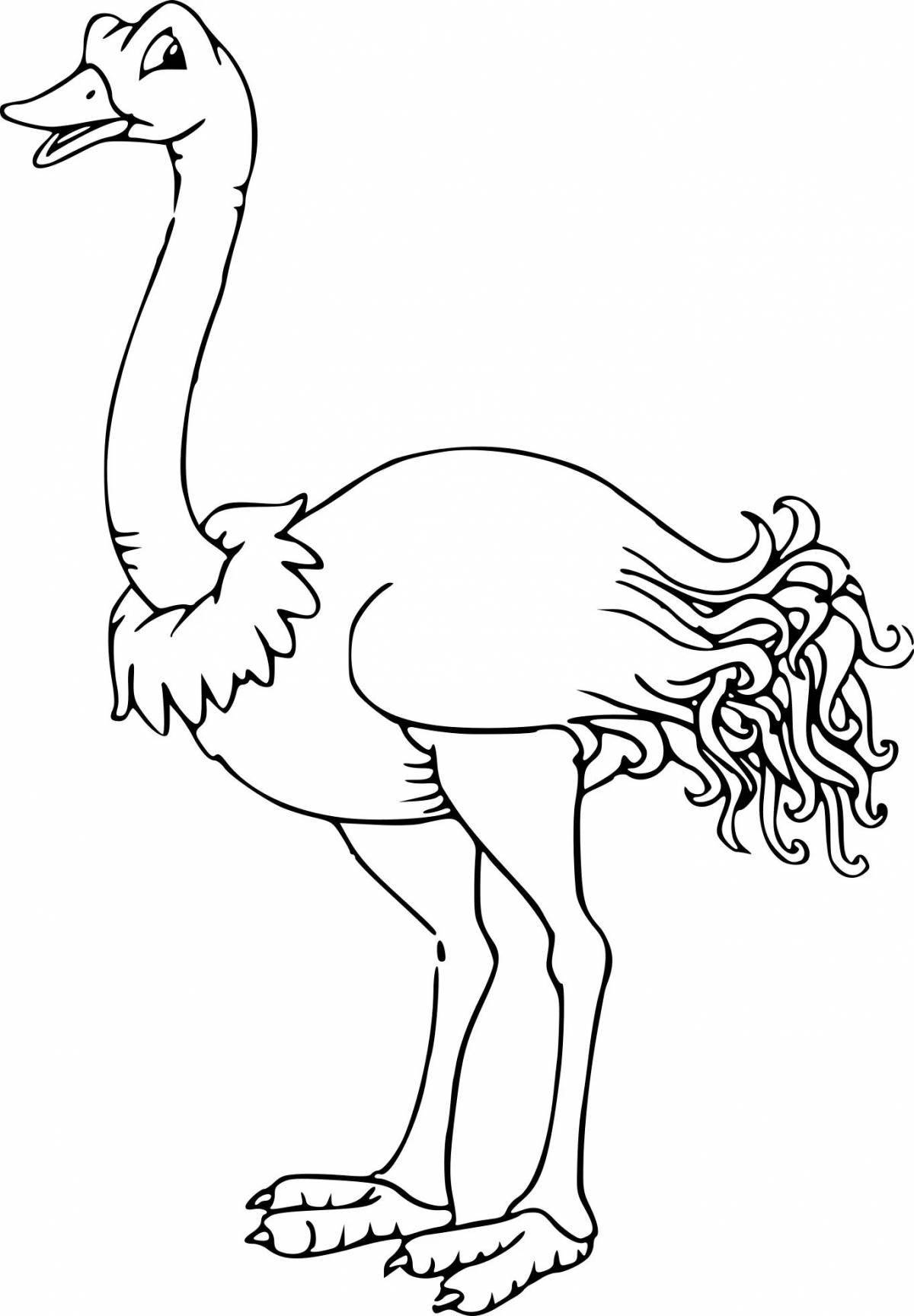 Awesome ostrich coloring book for kids
