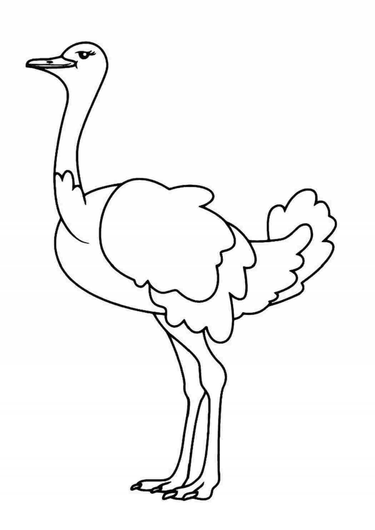 Великолепный страус раскраски для детей