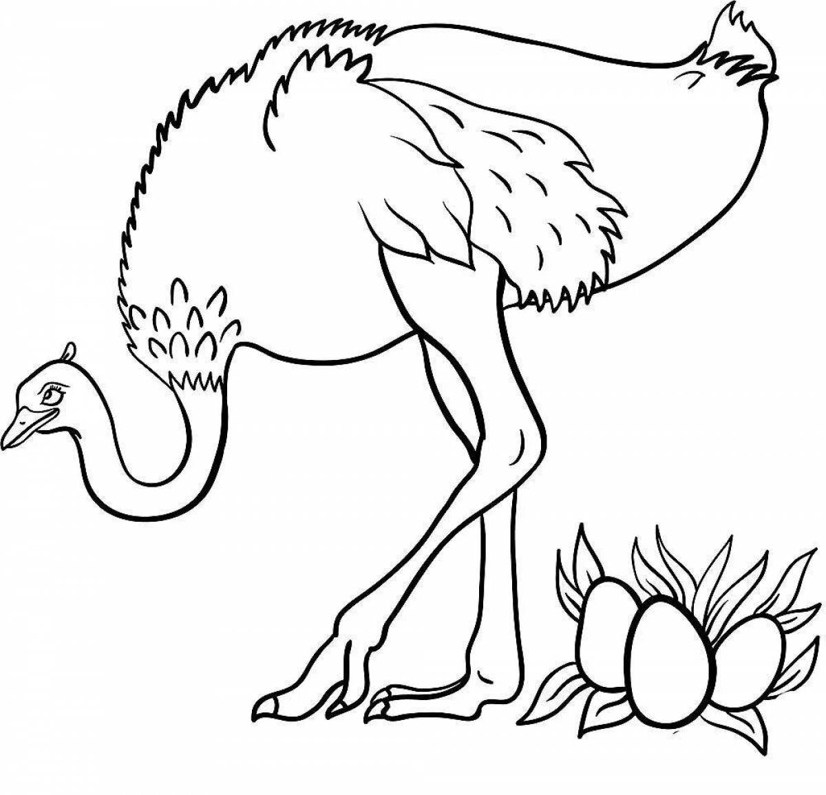 Раскраска славный страус для детей