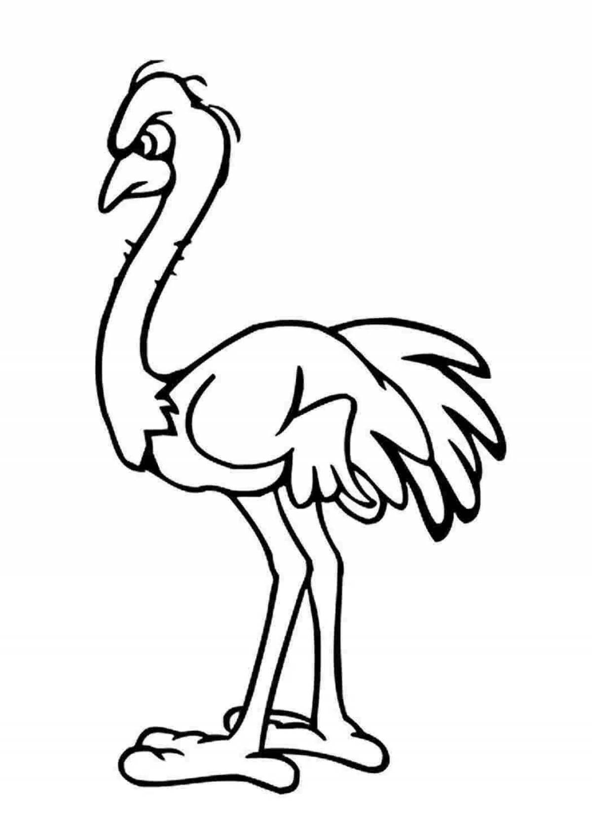 Exquisite ostrich coloring book for kids