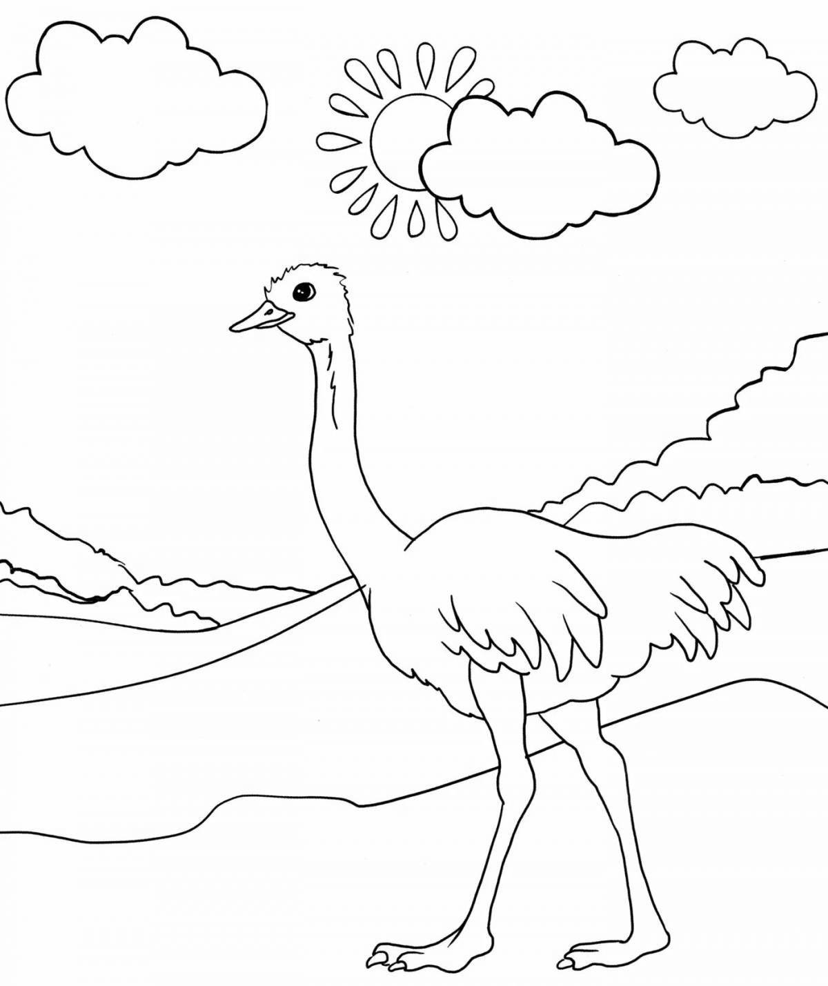 Очаровательный страус раскраски для детей