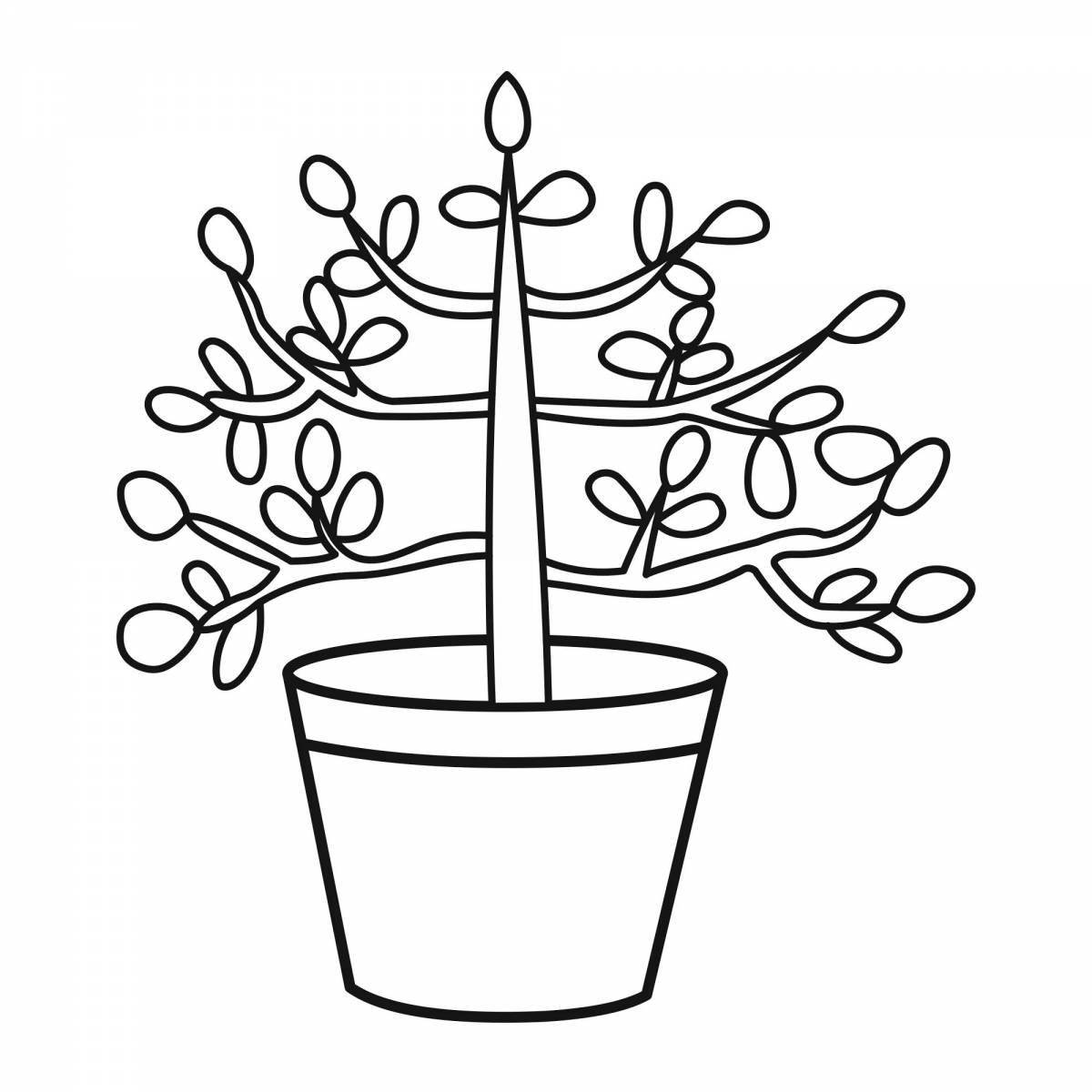 Fun coloring ficus for kids
