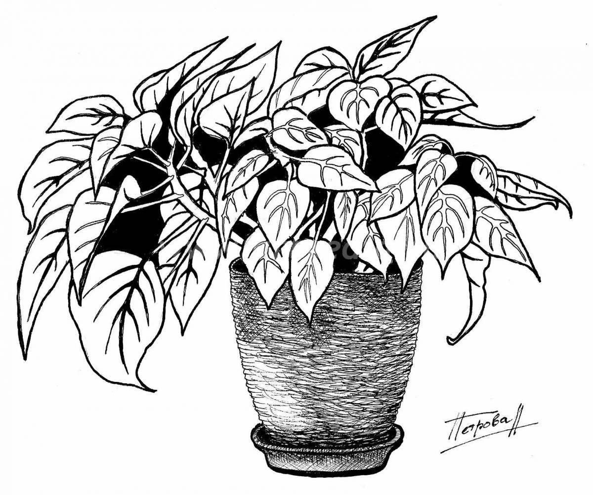 Playful ficus coloring page for toddlers