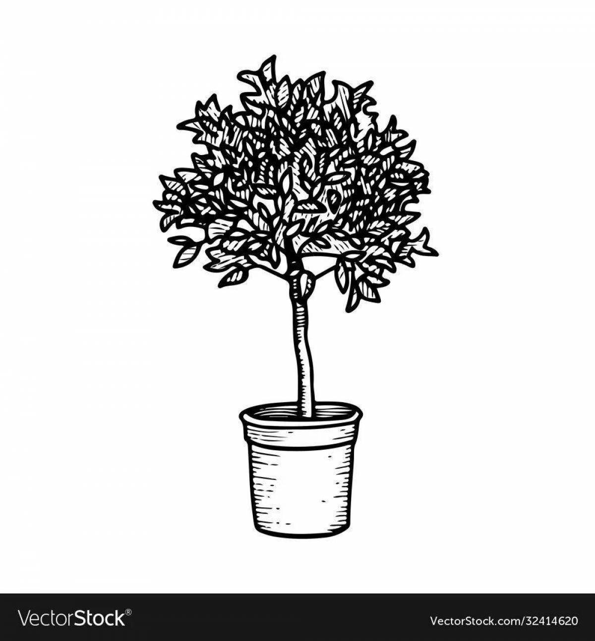 Attractive ficus coloring book for teens