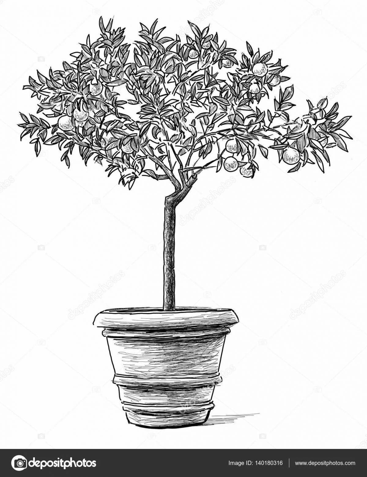Adorable juvenile ficus coloring page
