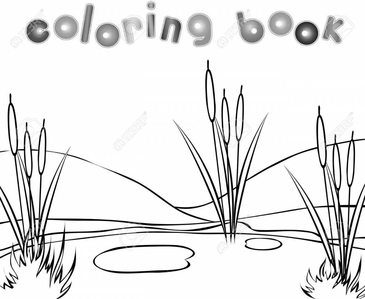 Bright swamp coloring book for kids