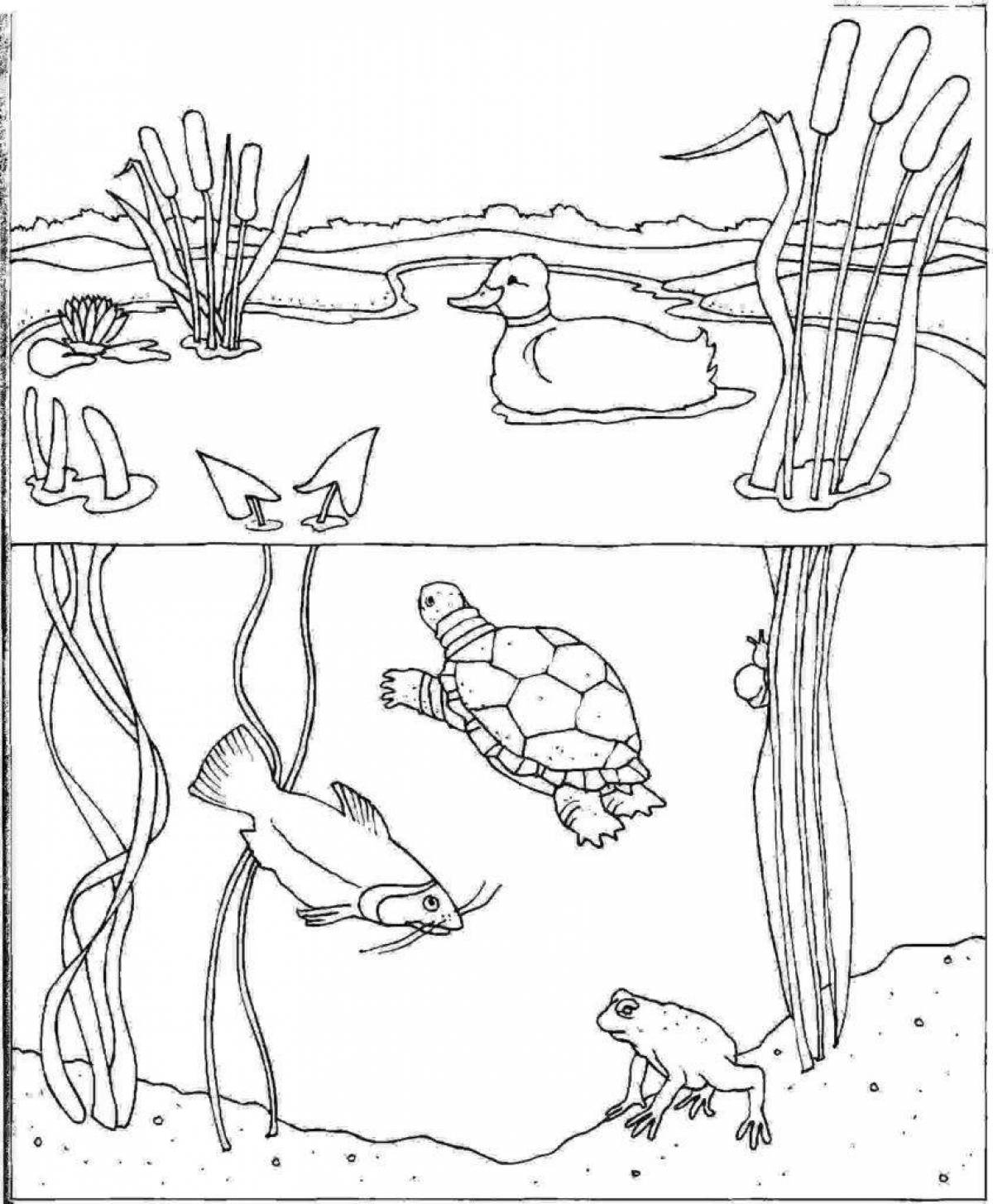 Fabulous swamp coloring book for kids