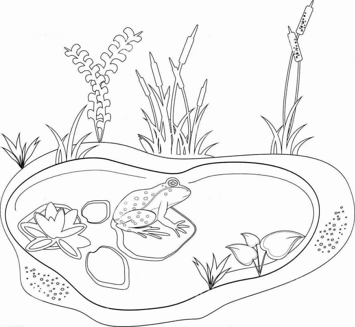Live marsh coloring for kids
