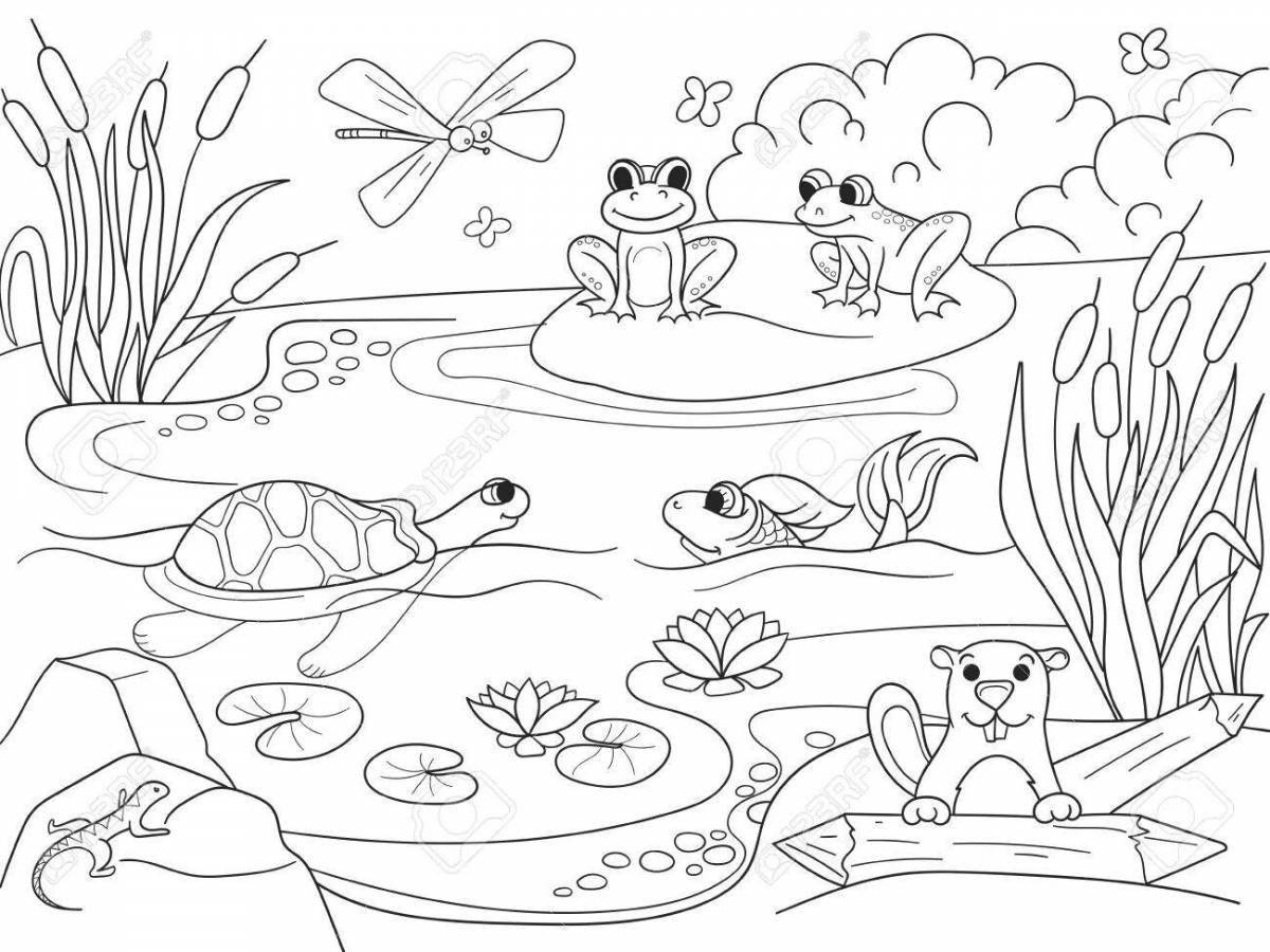 Colorful marsh coloring book for kids