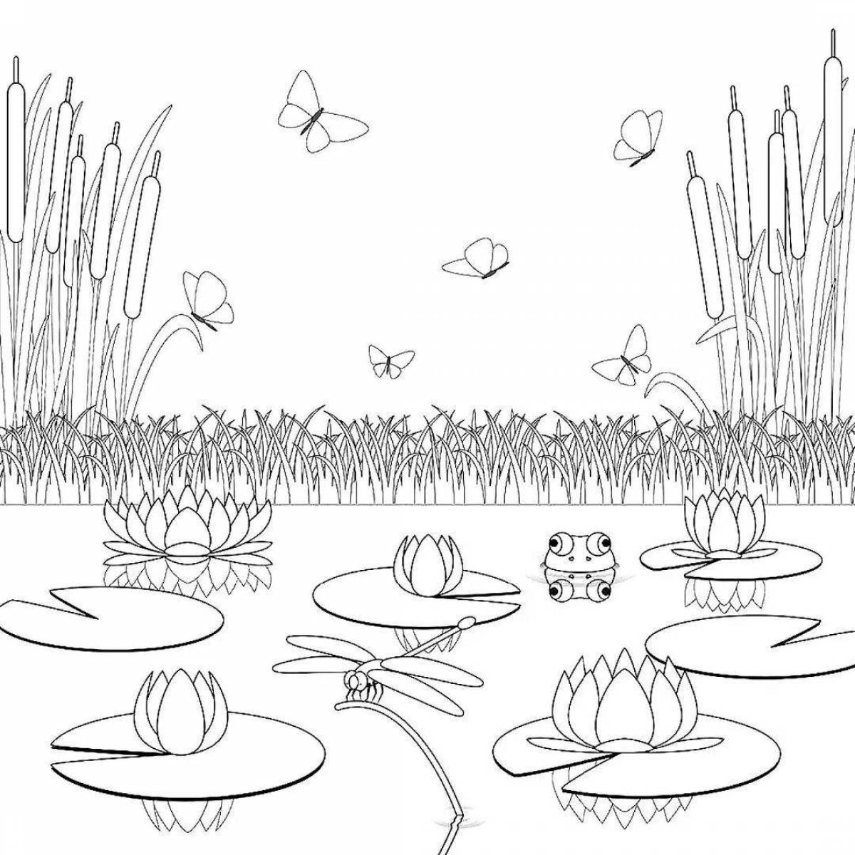 Bright swamp coloring pages for kids