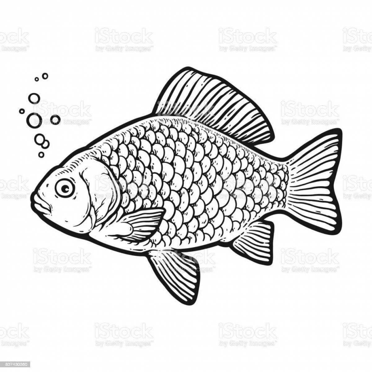 Colorful carp coloring page for kids