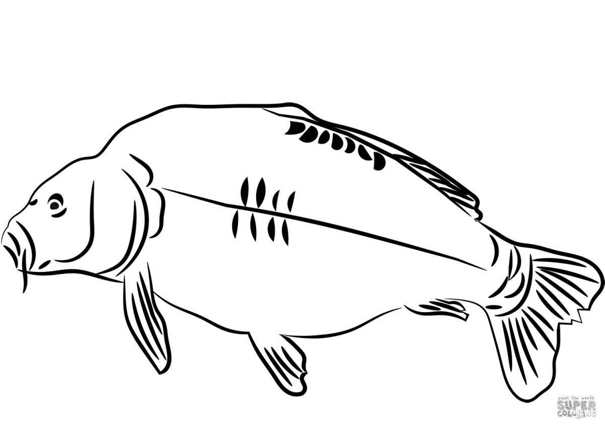 Joyful carp coloring book for kids