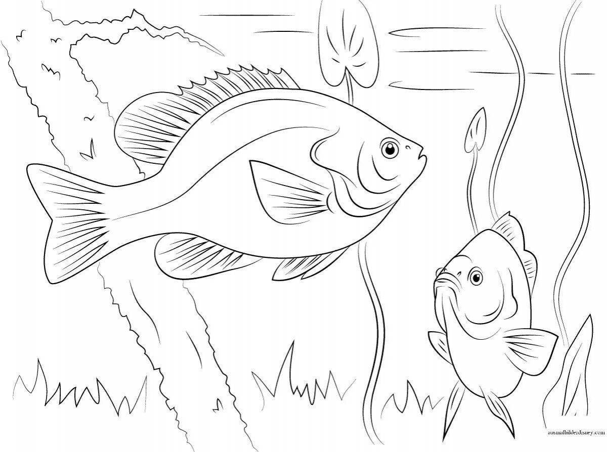 Playful carp coloring page for kids