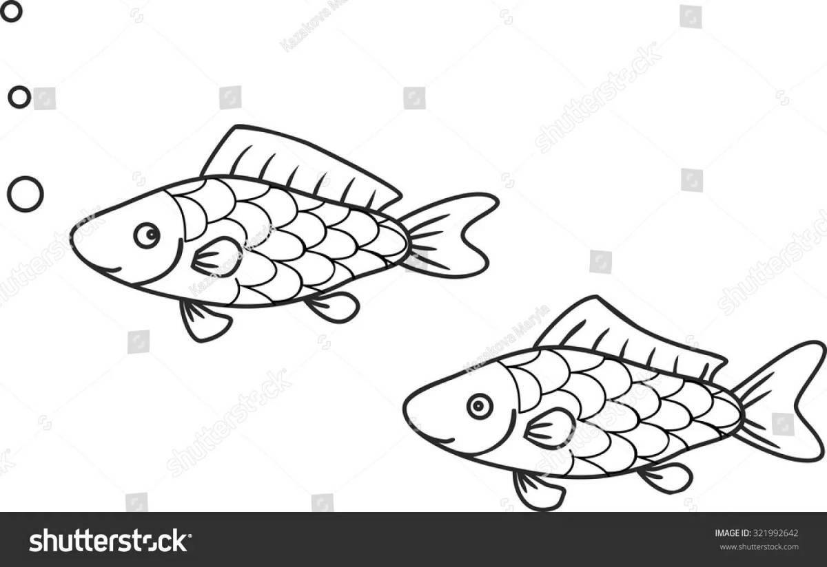 Fun coloring carp for kids