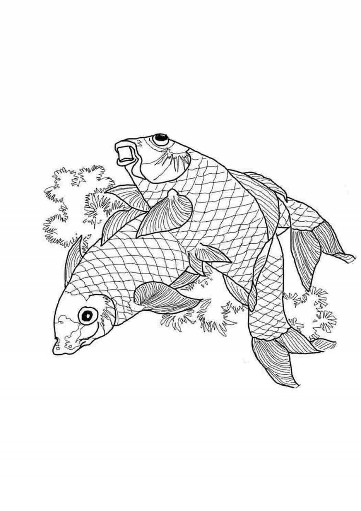 Adorable carp coloring book for kids