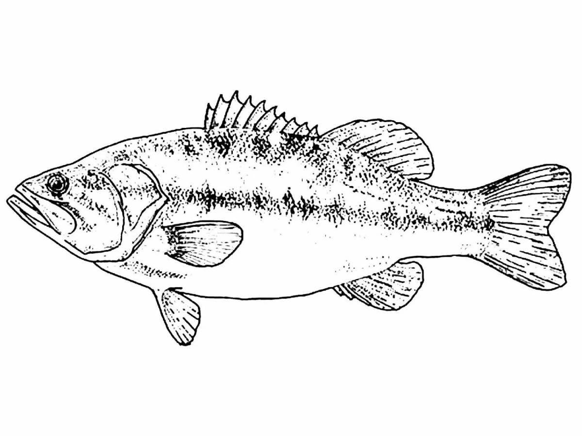 Amazing carp coloring pages for kids
