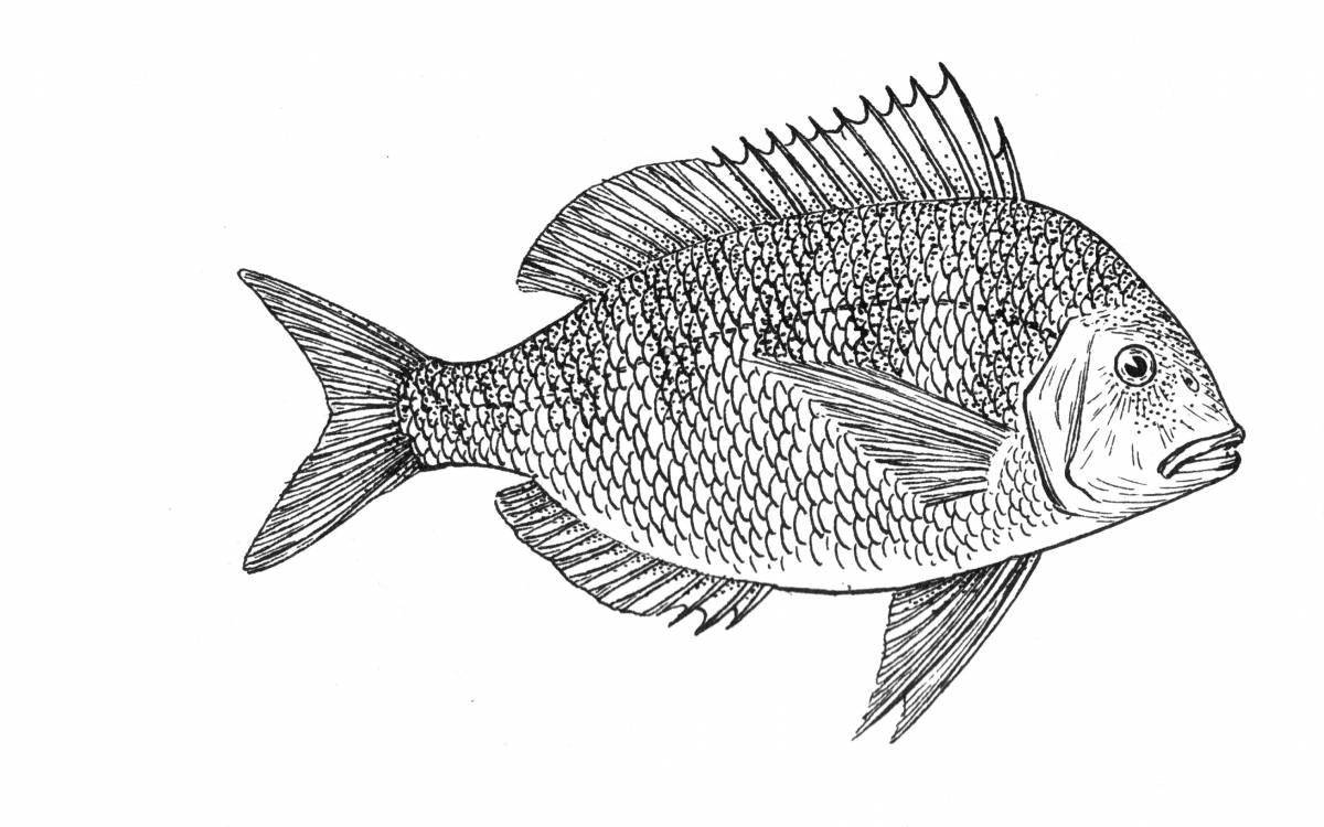 Amazing carp coloring page for kids
