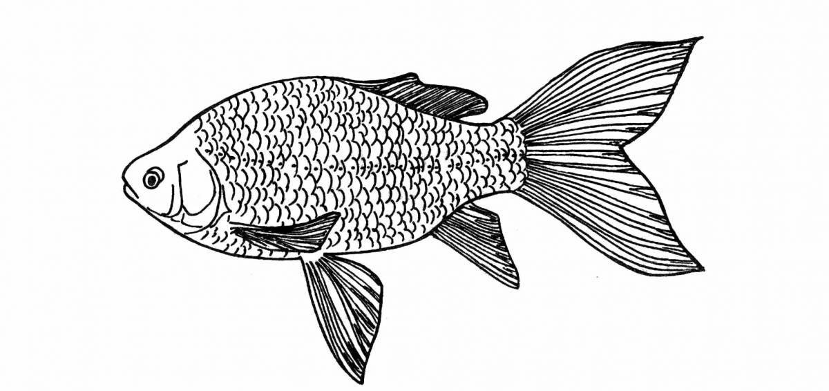 Exquisite carp coloring book for kids