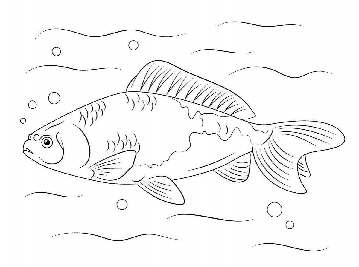 Beautiful carp coloring pages for kids