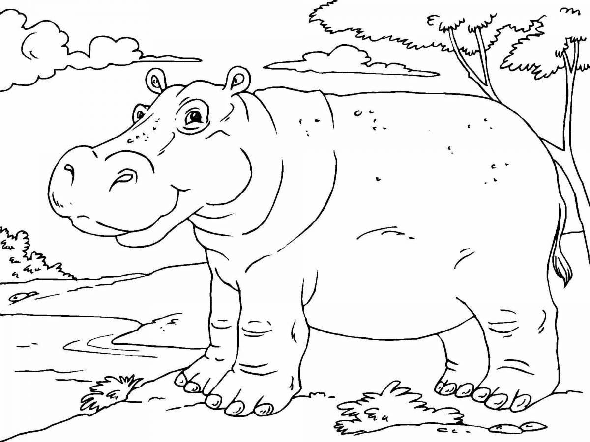 Colourful hippopotamus coloring book for kids