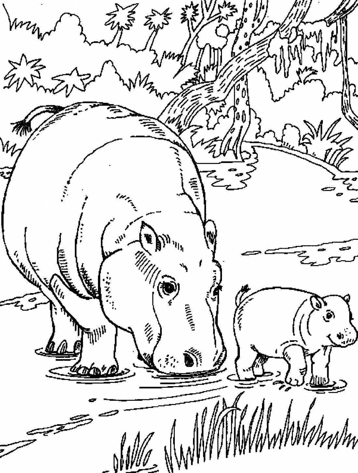 Hippo coloring page for kids