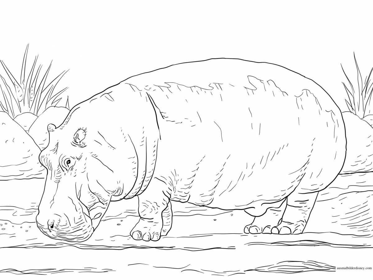 Happy hippo coloring book for kids