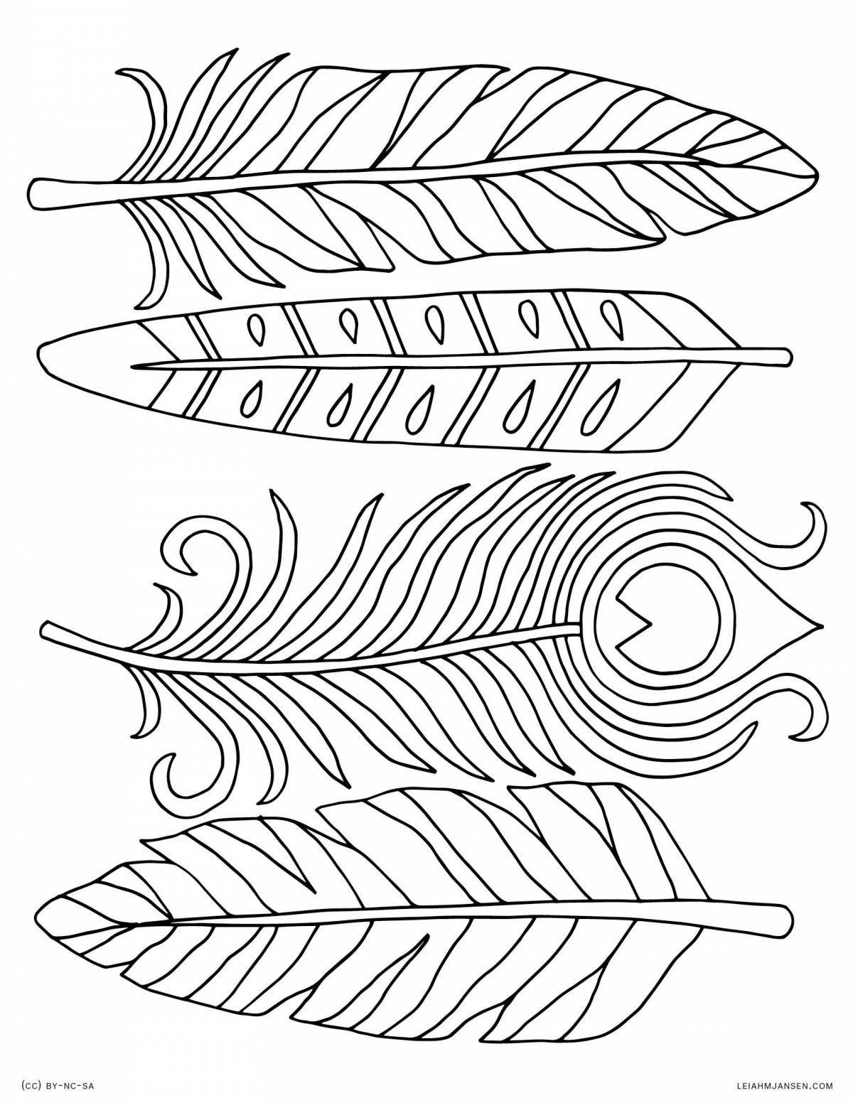 Colorful feather coloring page for teenagers