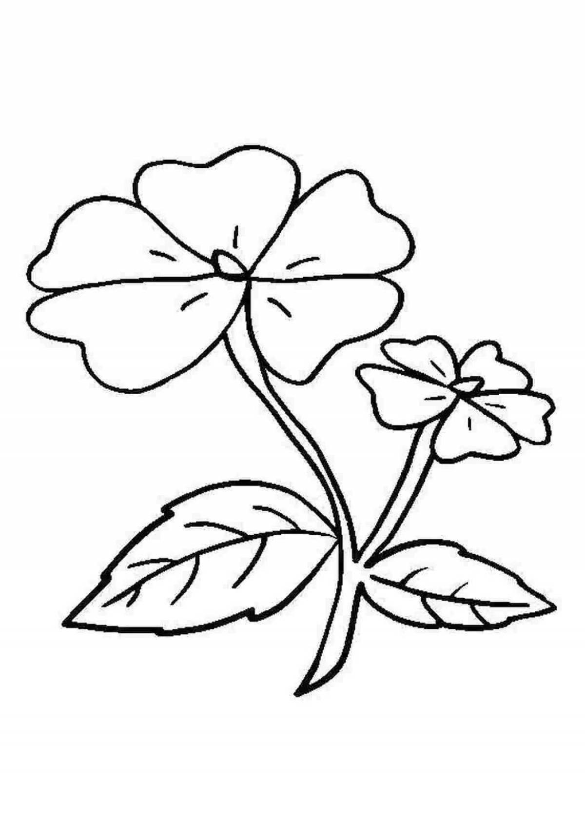 Раскраска цветок герань для детей