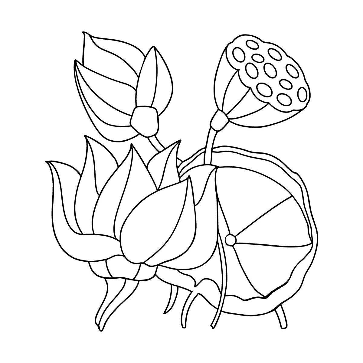 Coloring lotus for kids