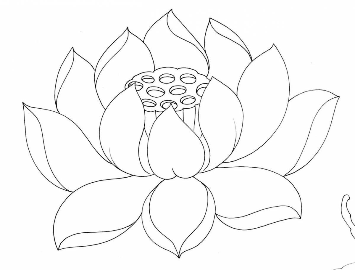 Jolly lotus coloring book for kids