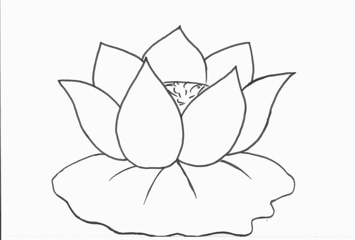 Lotus holiday coloring book for kids