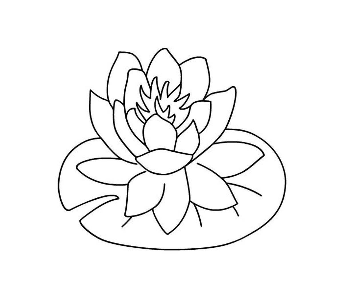 Gorgeous lotus coloring book for kids