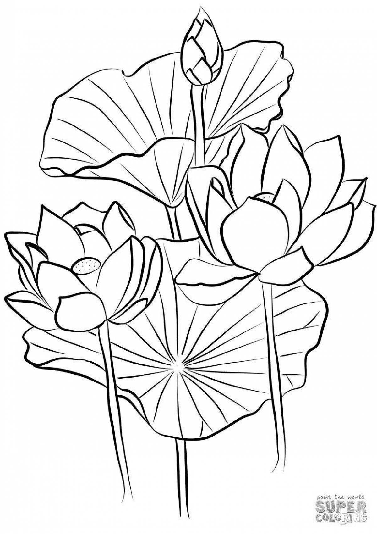 Adorable lotus coloring page for kids
