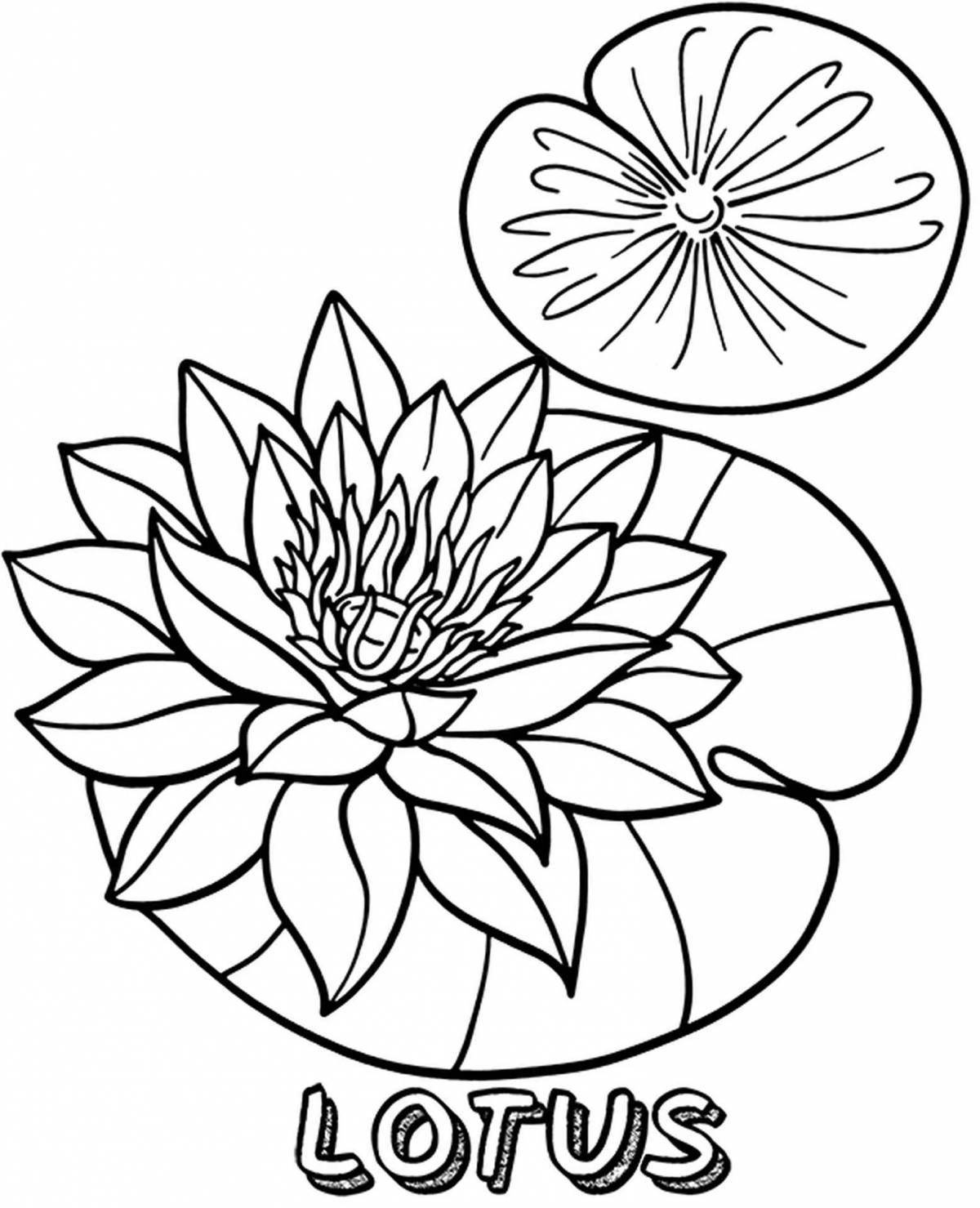 Glitter lotus coloring book for kids