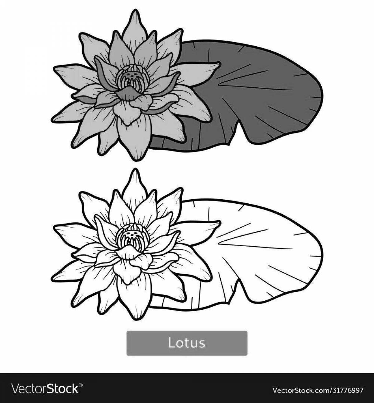 Coloring lotus blossom for children