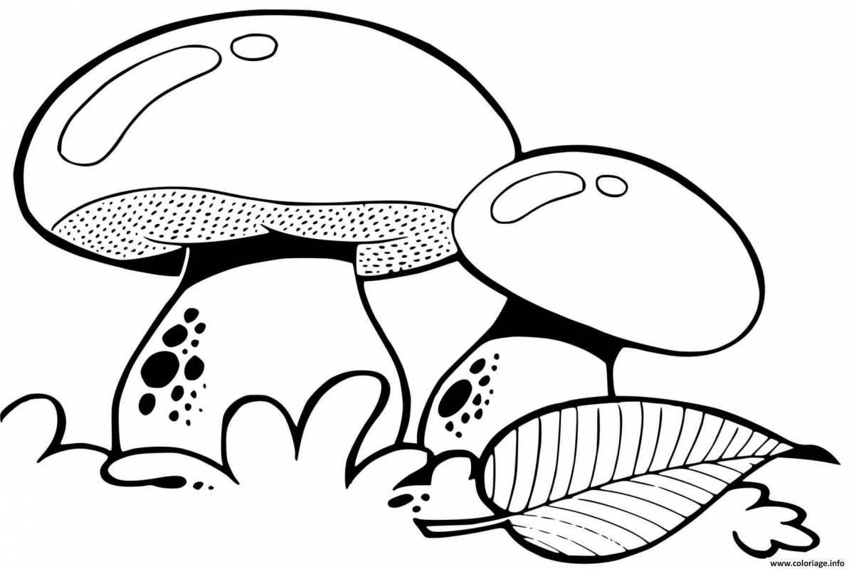 Веселая раскраска грибов для детей