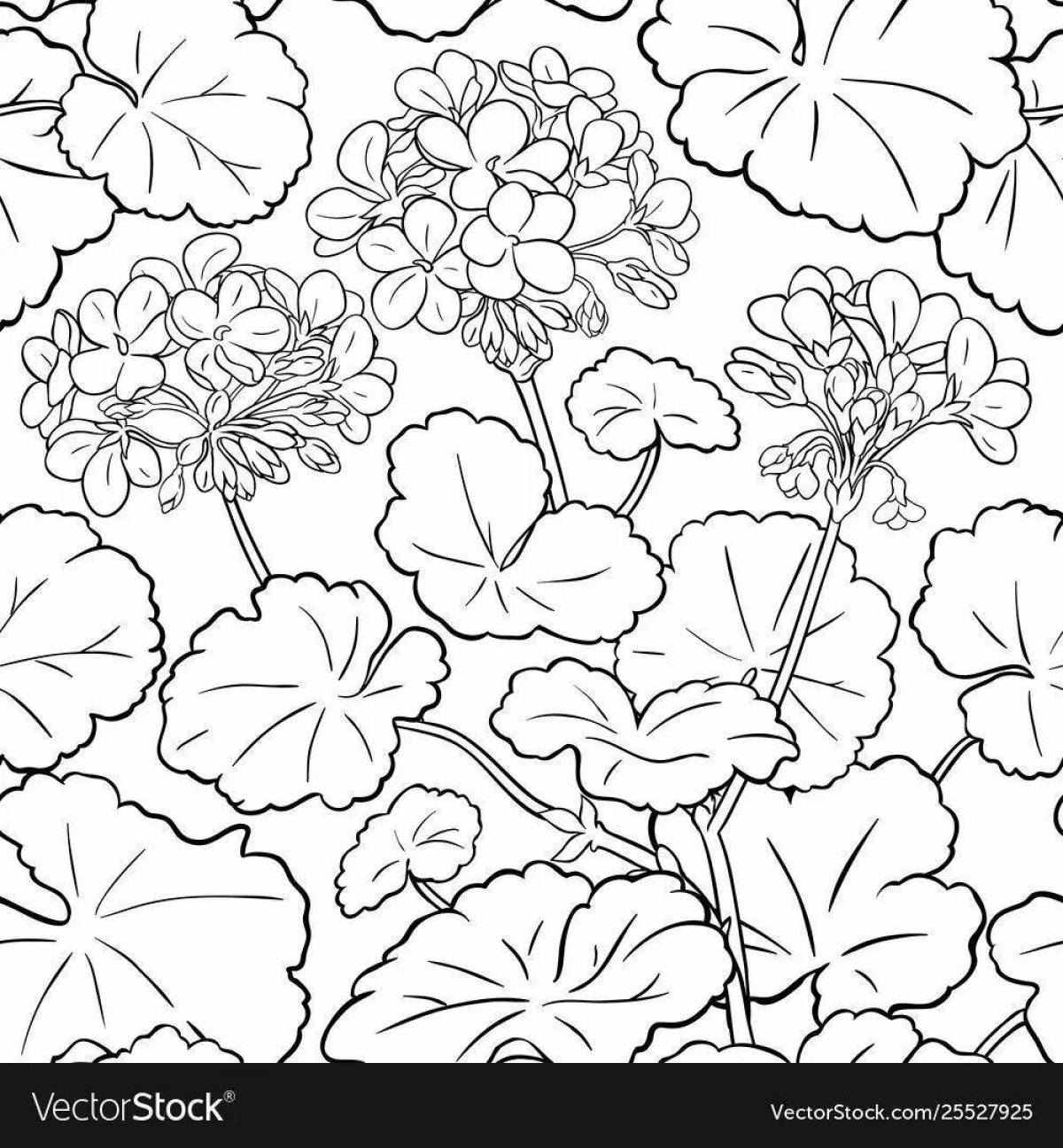 Великолепная раскраска герань для малышей