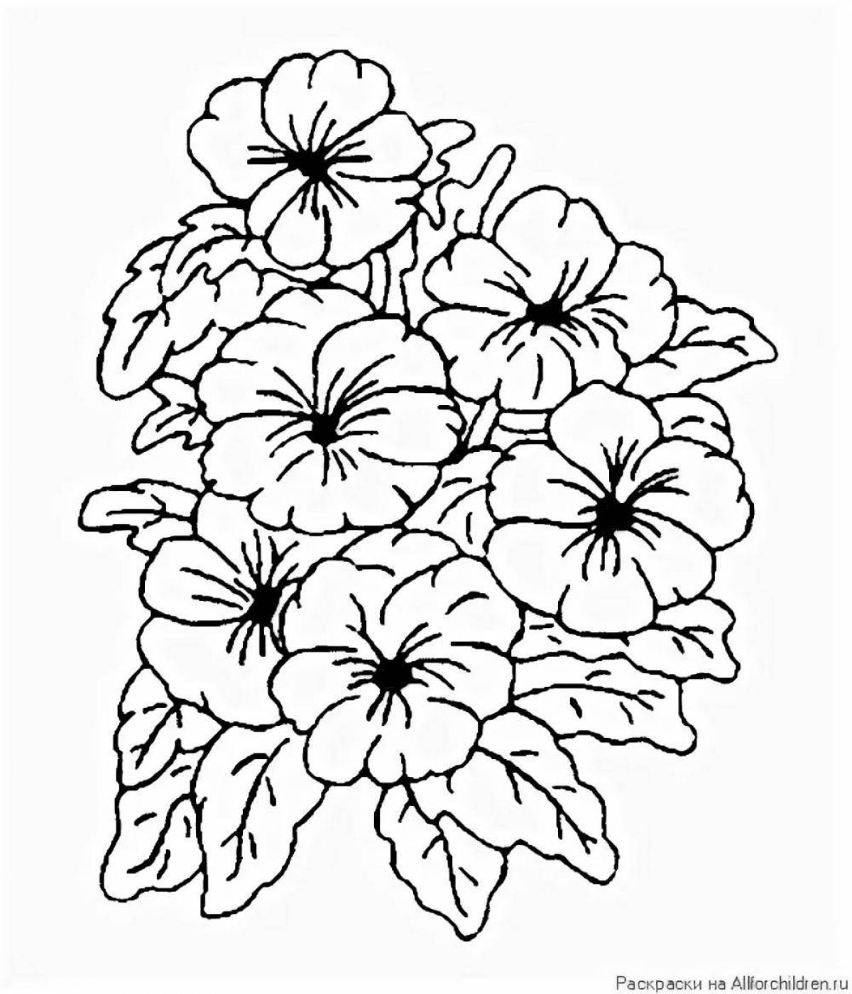 Outstanding geranium coloring page for kids