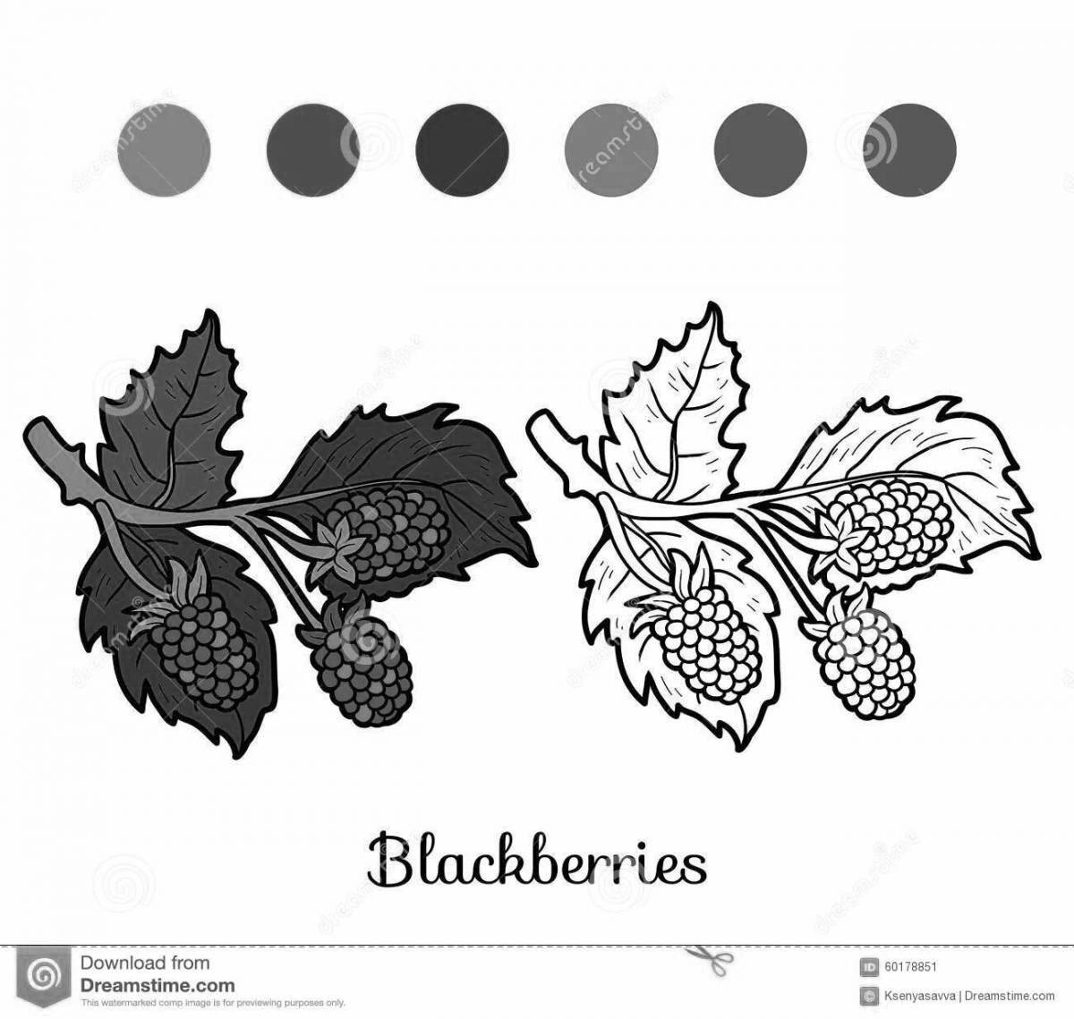 Веселая раскраска blackberry для детей