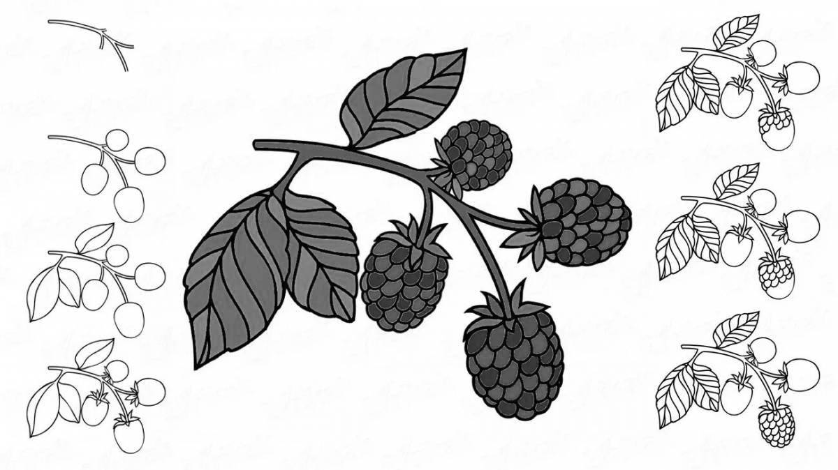 Fun blackberry coloring book for kids