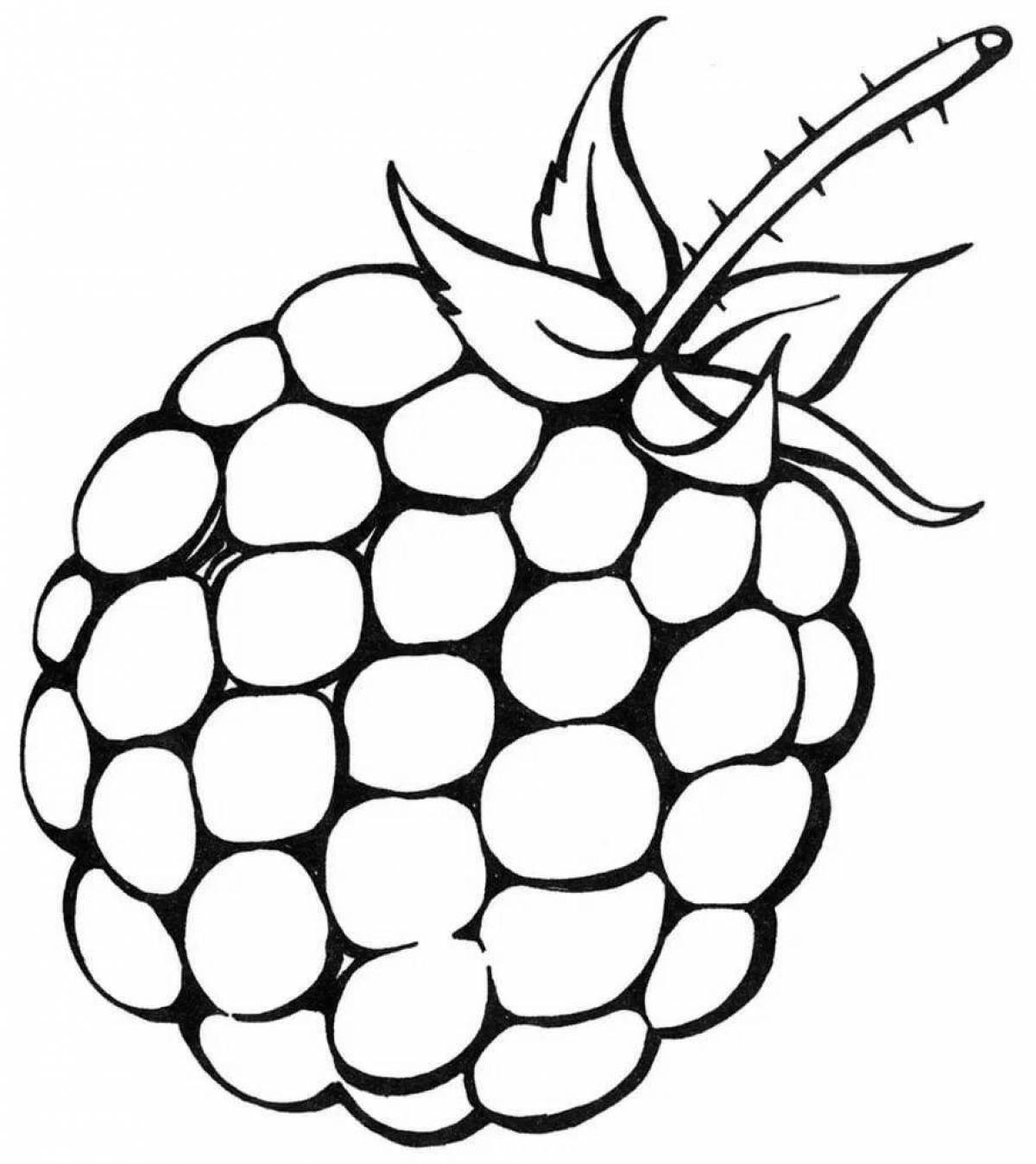 Amazing blackberry coloring pages for kids