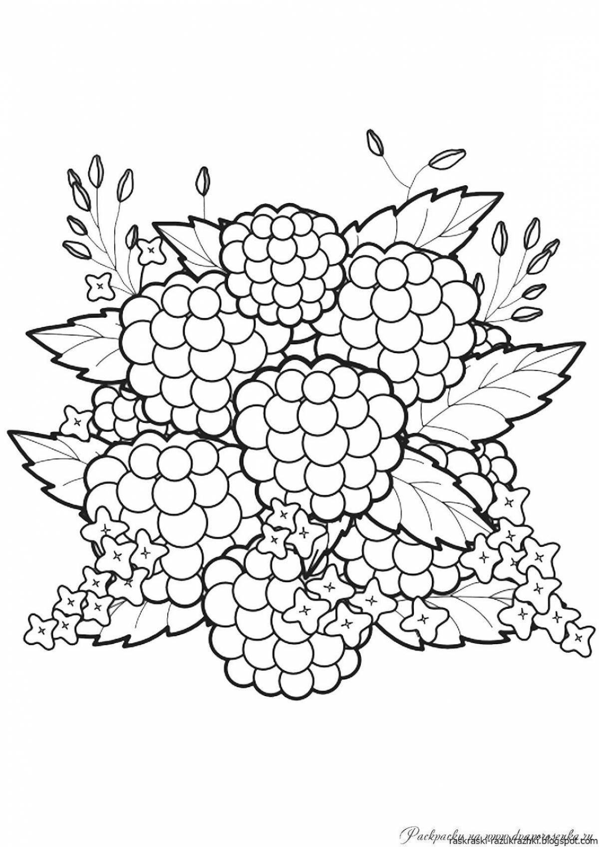 Playful blackberry coloring page for kids